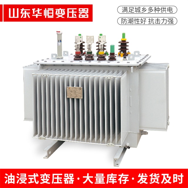 S13-10000/35益阳益阳益阳电力变压器